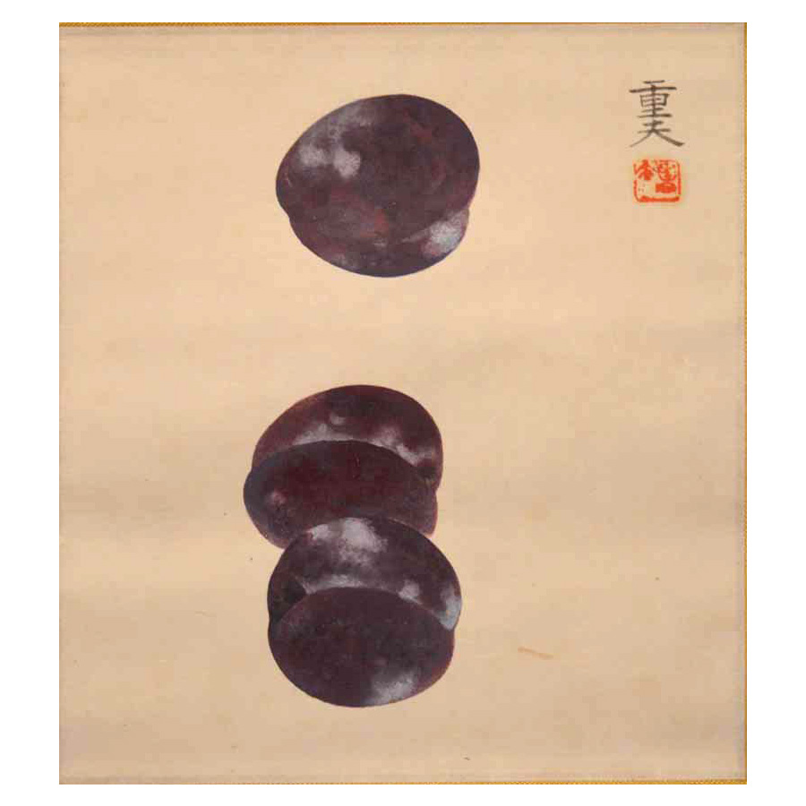 岩沢重夫 巴旦杏